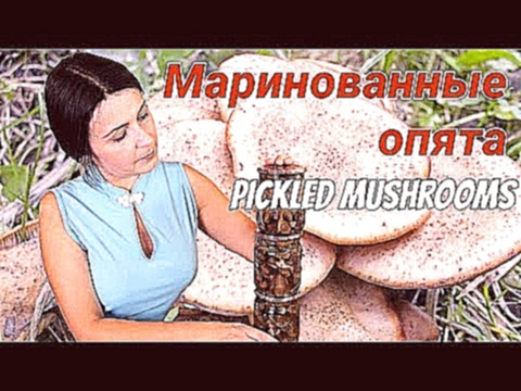 Маринованные опята - самые вкусные опята! / Vinegar pickled honey fungus recipe ♡ English subtitles 