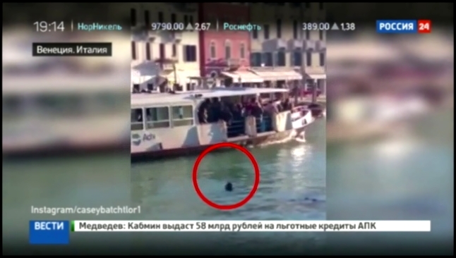 Видеоклип В Венеции под смех зрителей утонул беженец из Африки