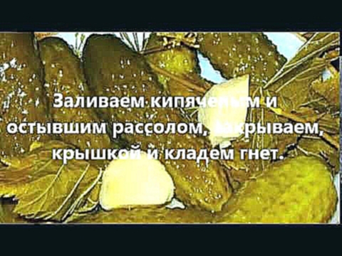 Русские огурцы по рецепту бабушки 