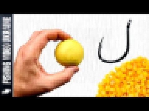 Мастырка из кукурузы мамалыга для рыбалки | 1080p | FishingVideoUkraine 