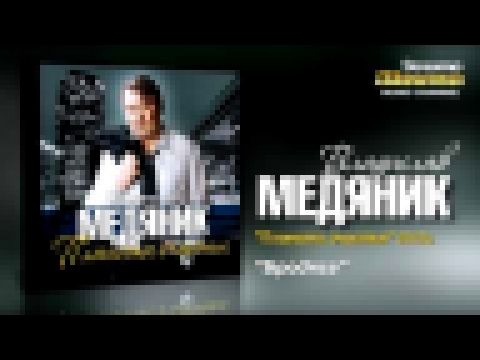 Видеоклип Владислав Медяник - Бродяга (Audio)