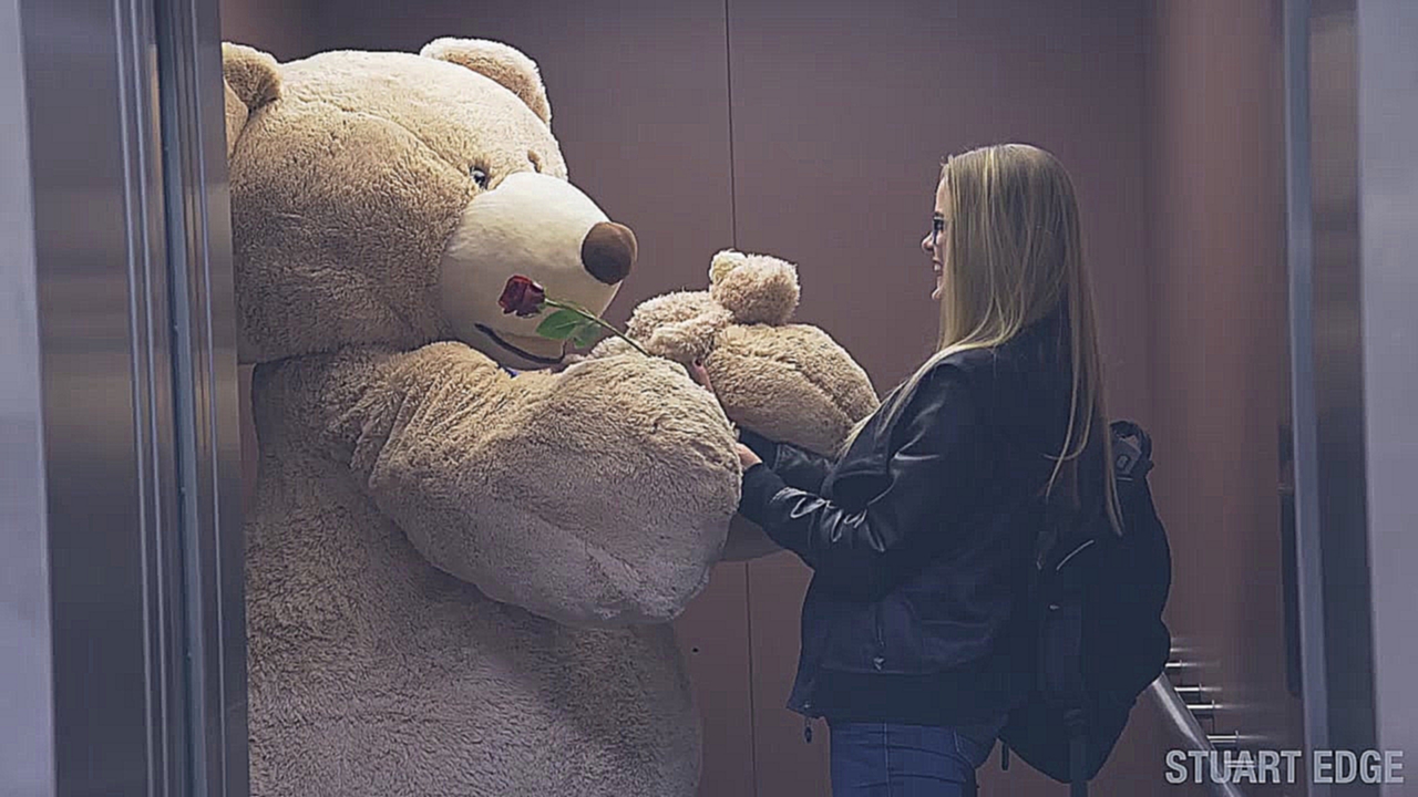 Видеоклип Гигантский плюшевый медведь раздаёт подарки ко Дню святого Валентина