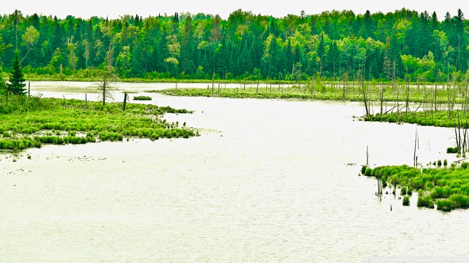 Винтаж - Река картинки